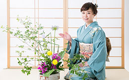 訪問着・付け下げ